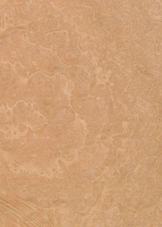 Madrona burl veneer swatch, TABU