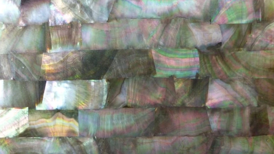 Laminate shell veneer