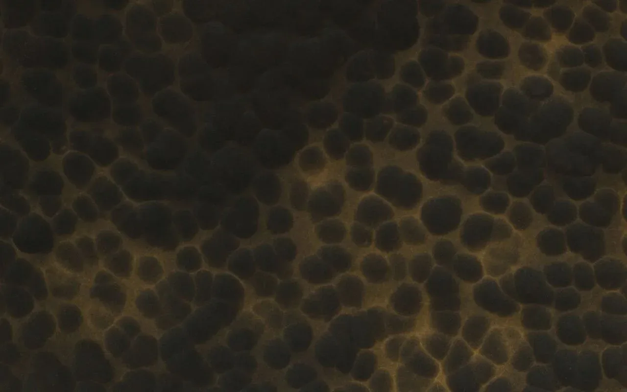 Hammered Bronze