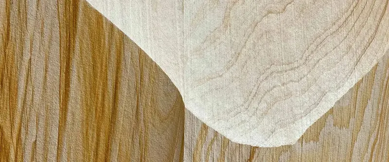 Pale and golden wood veneer leaves joined along a curved seam showing grain contrast
