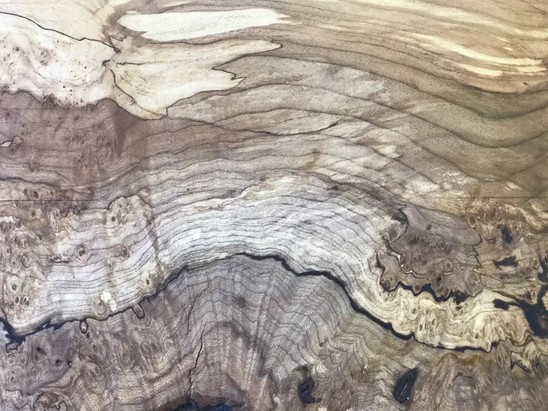 A working glossary of wood veneer