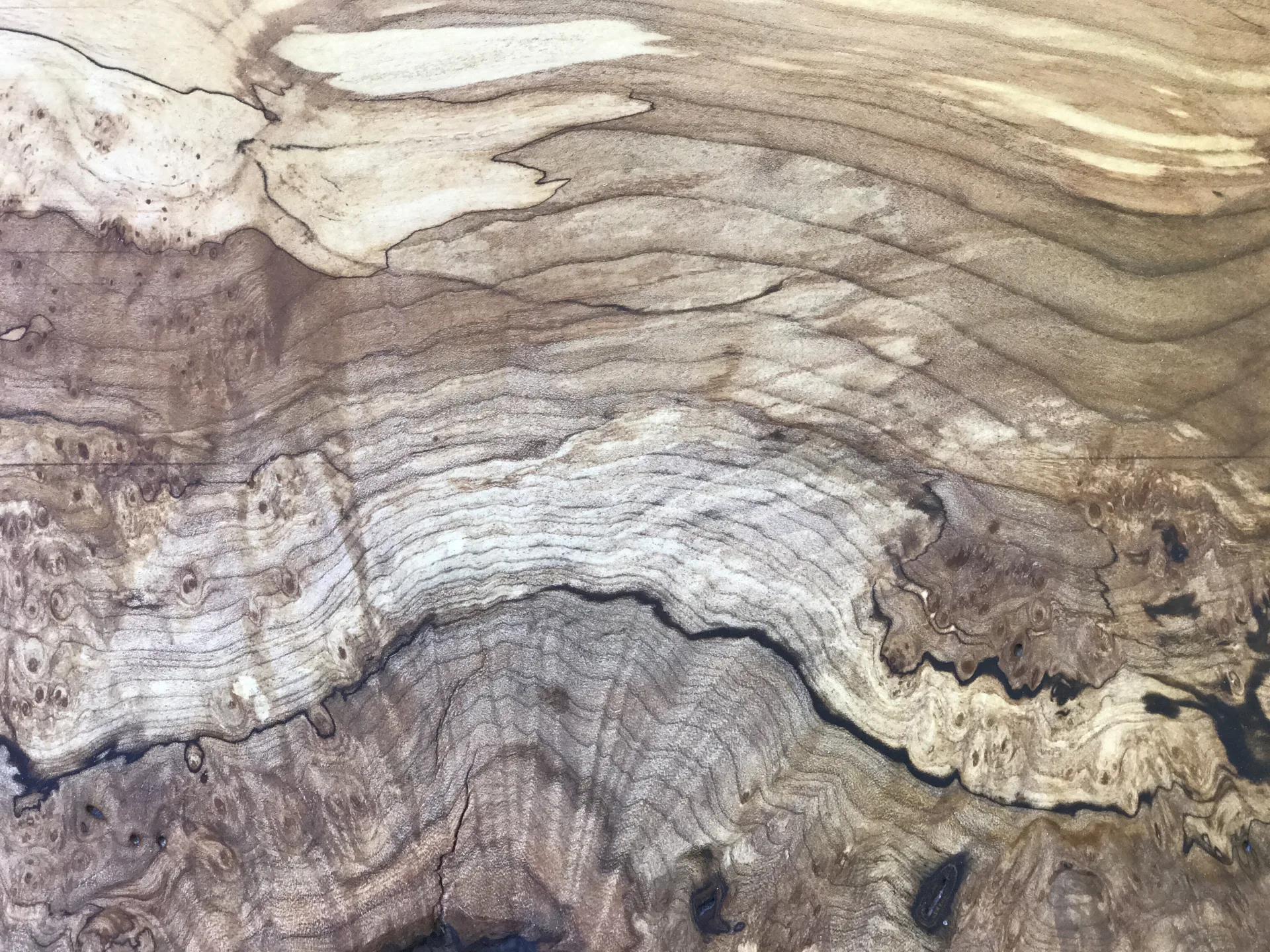 A working glossary of wood veneer
