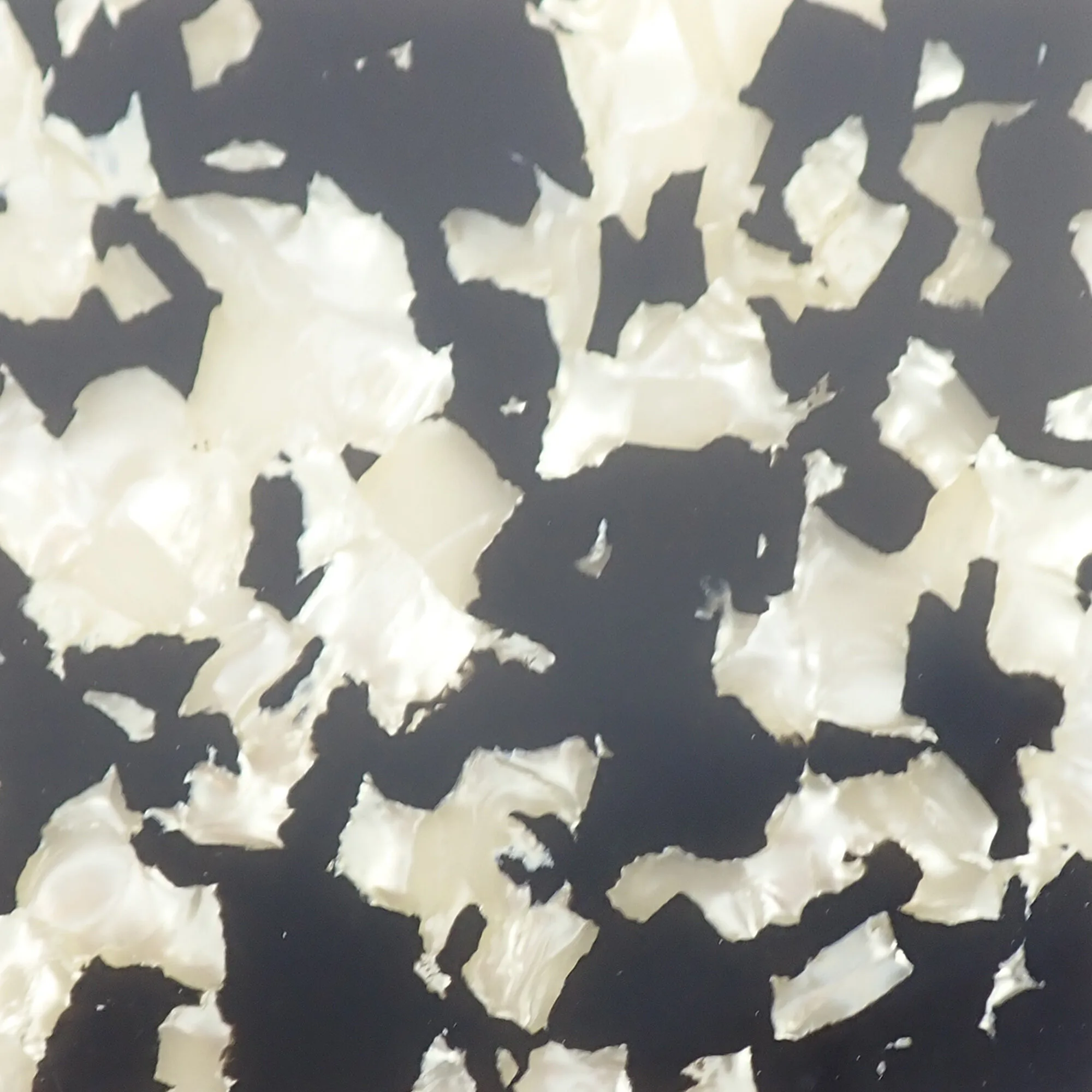 Black And White Pearloid