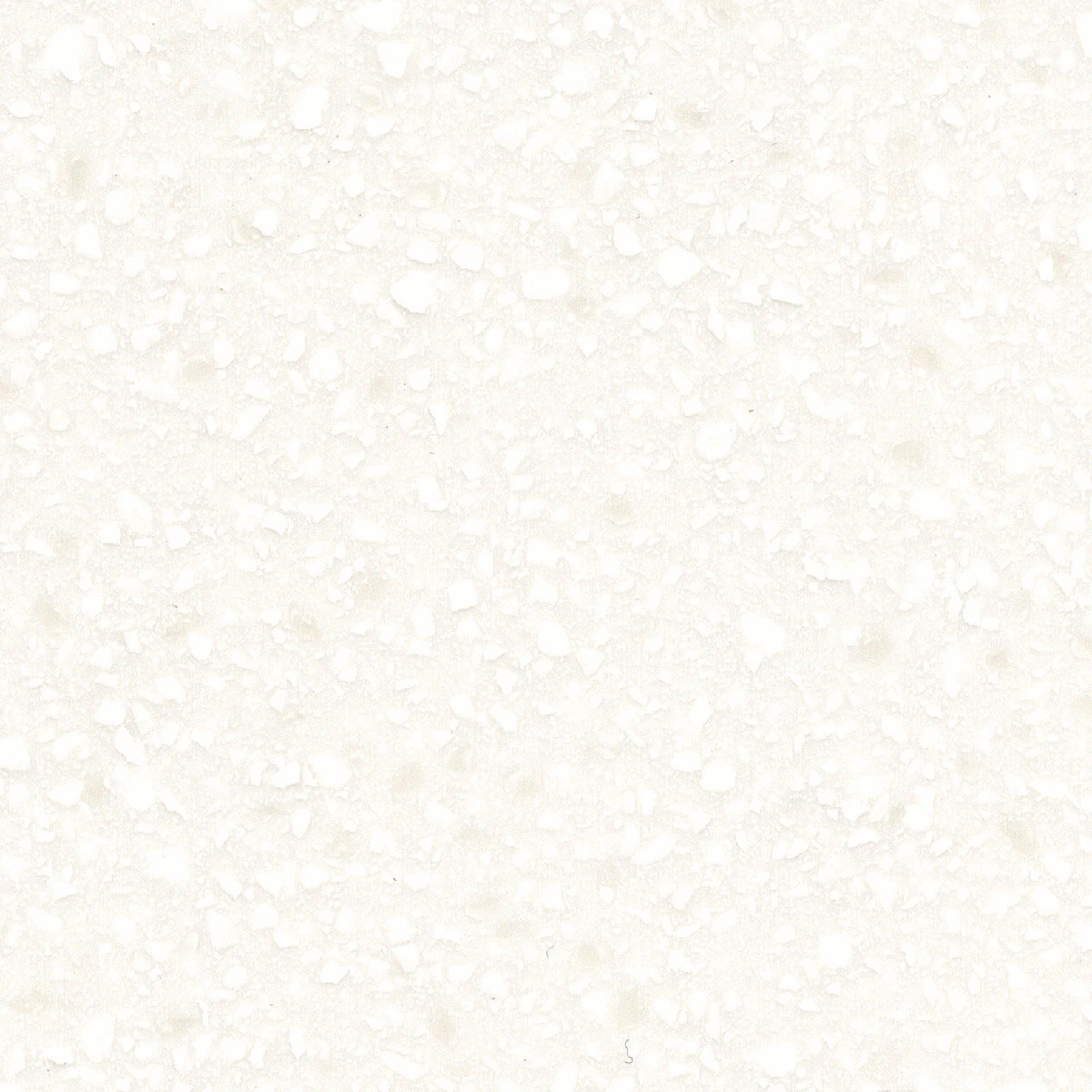 Corian Antartica