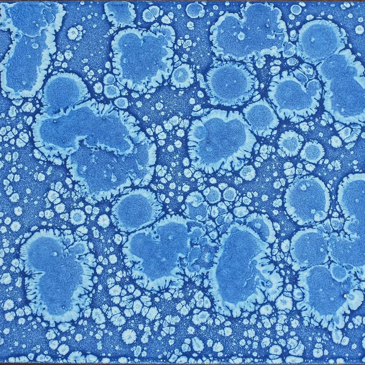 Blue Splash Lacquer