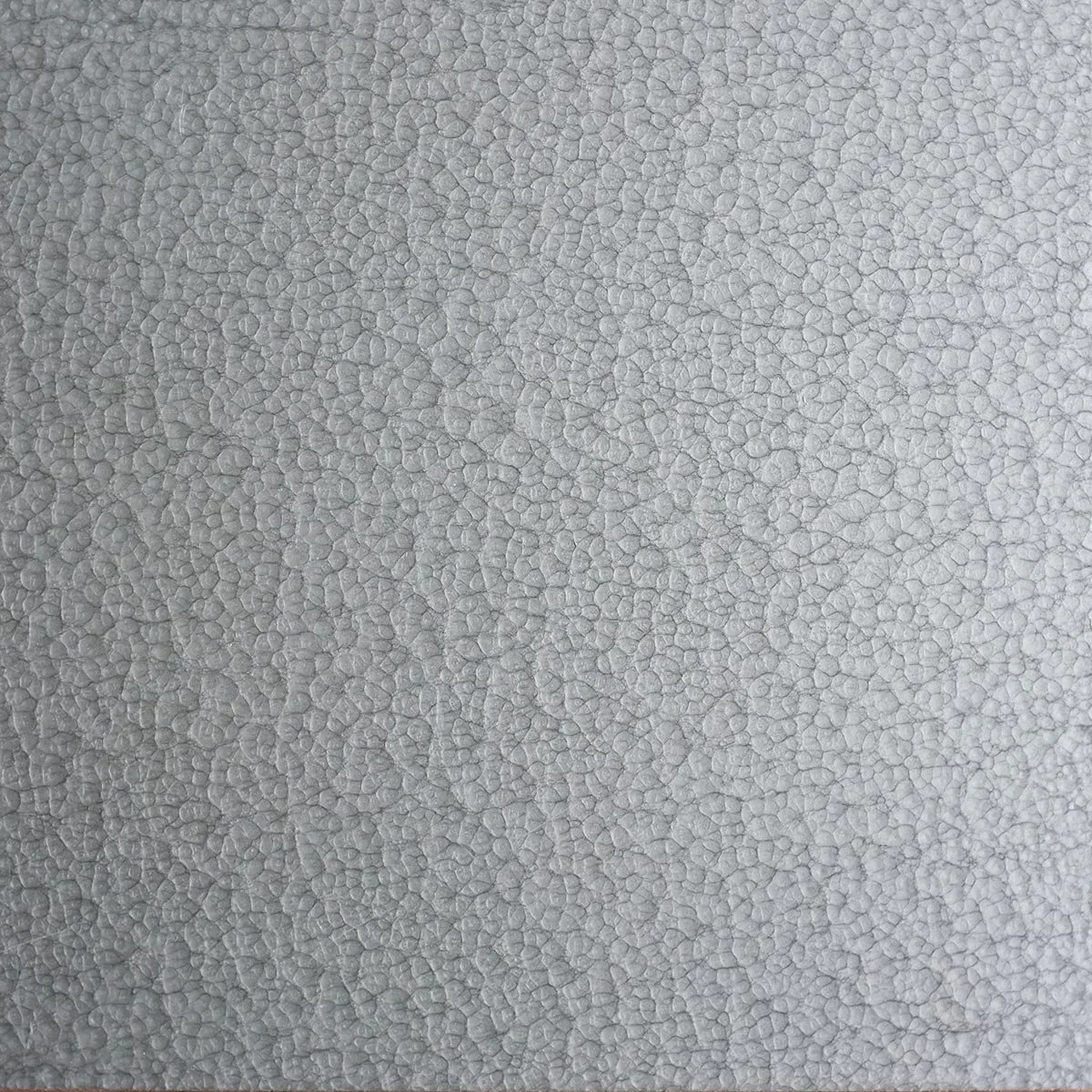 Metallic Silver Textured Lacquer