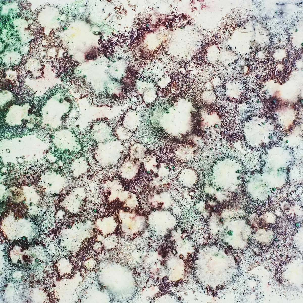 Purple and Green Metallic Textured Lacquer