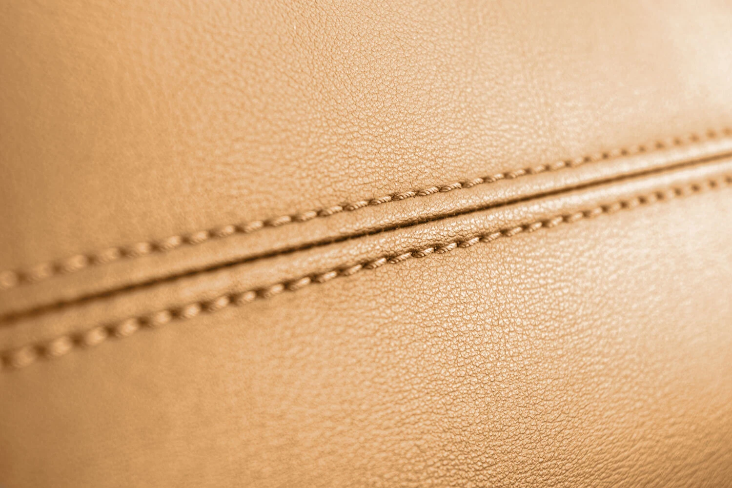 Stitching Detail