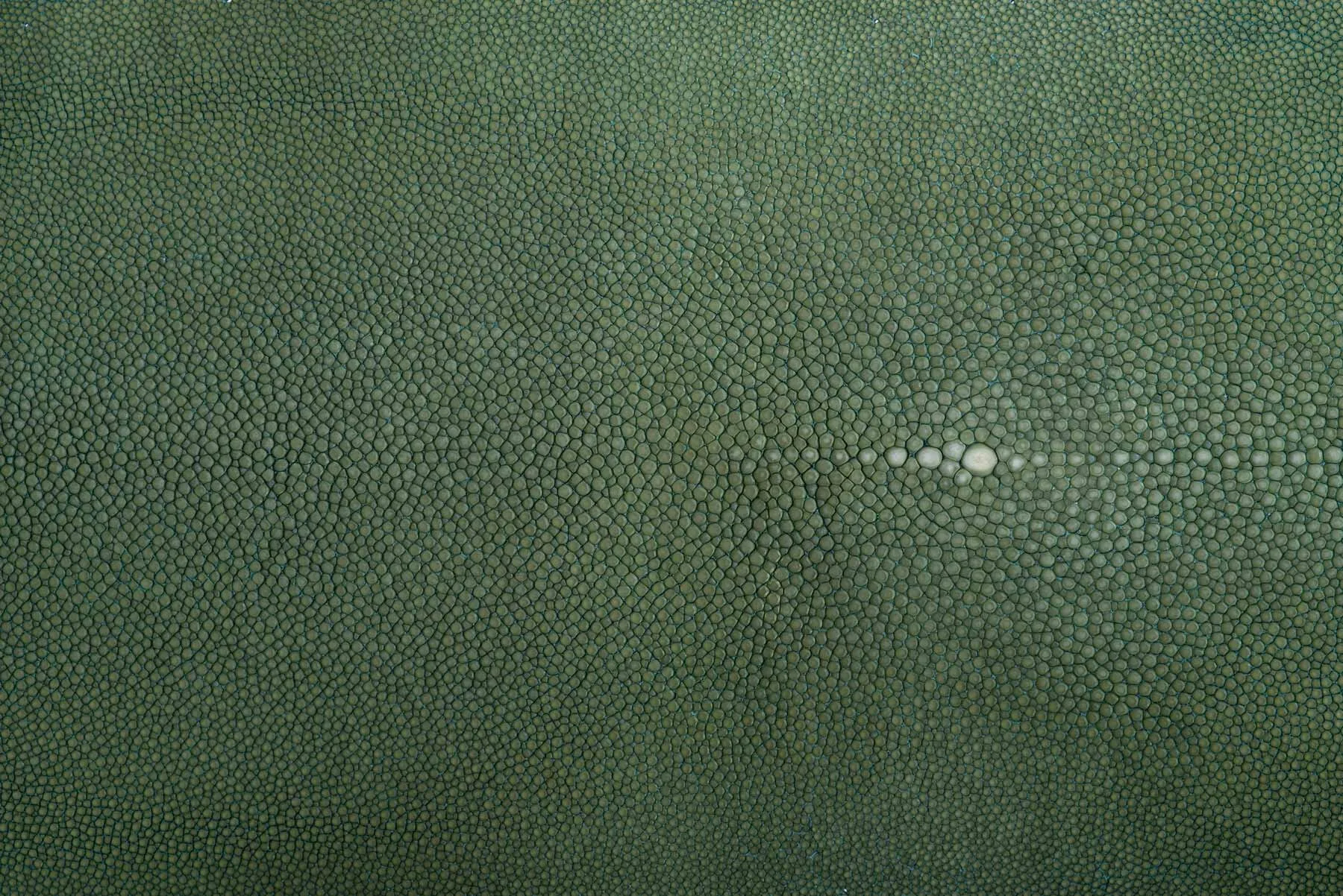 Shagreen