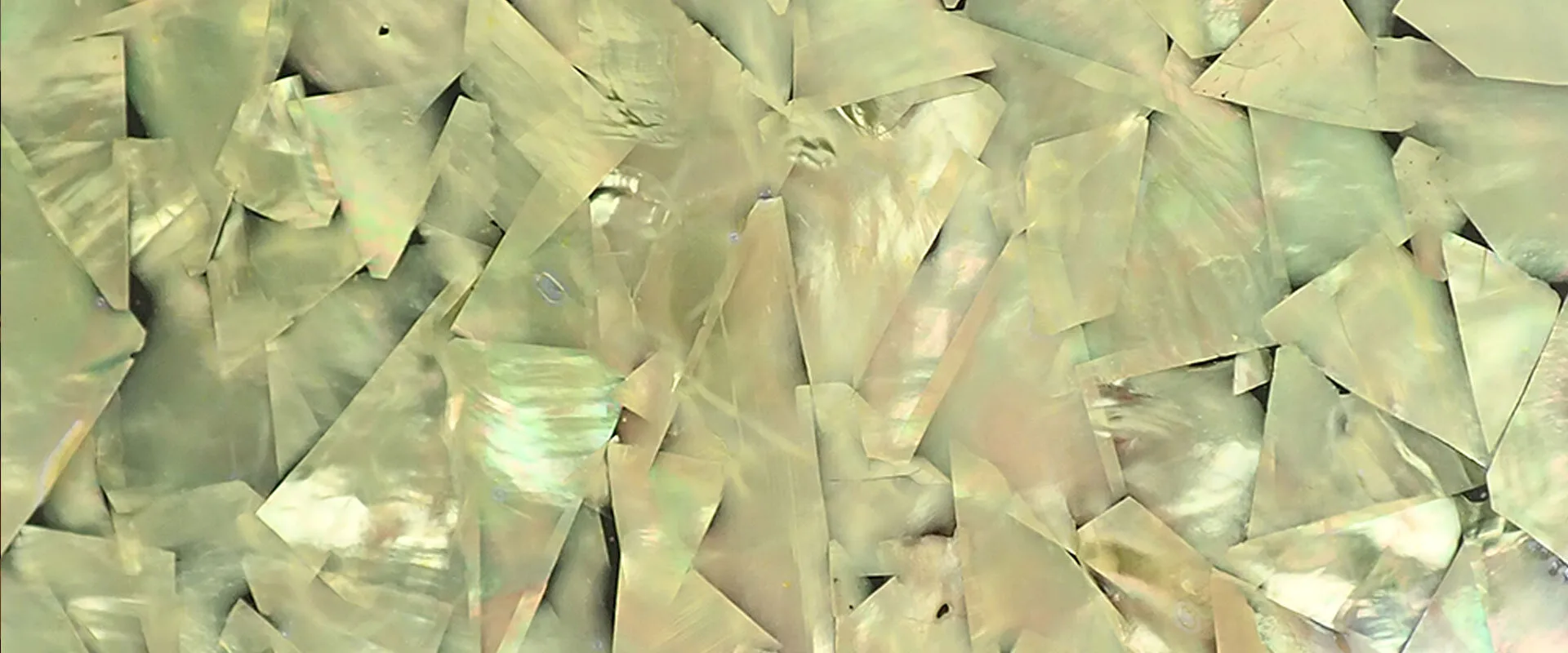 Mother of pearl detail — Make Bespoke Studio