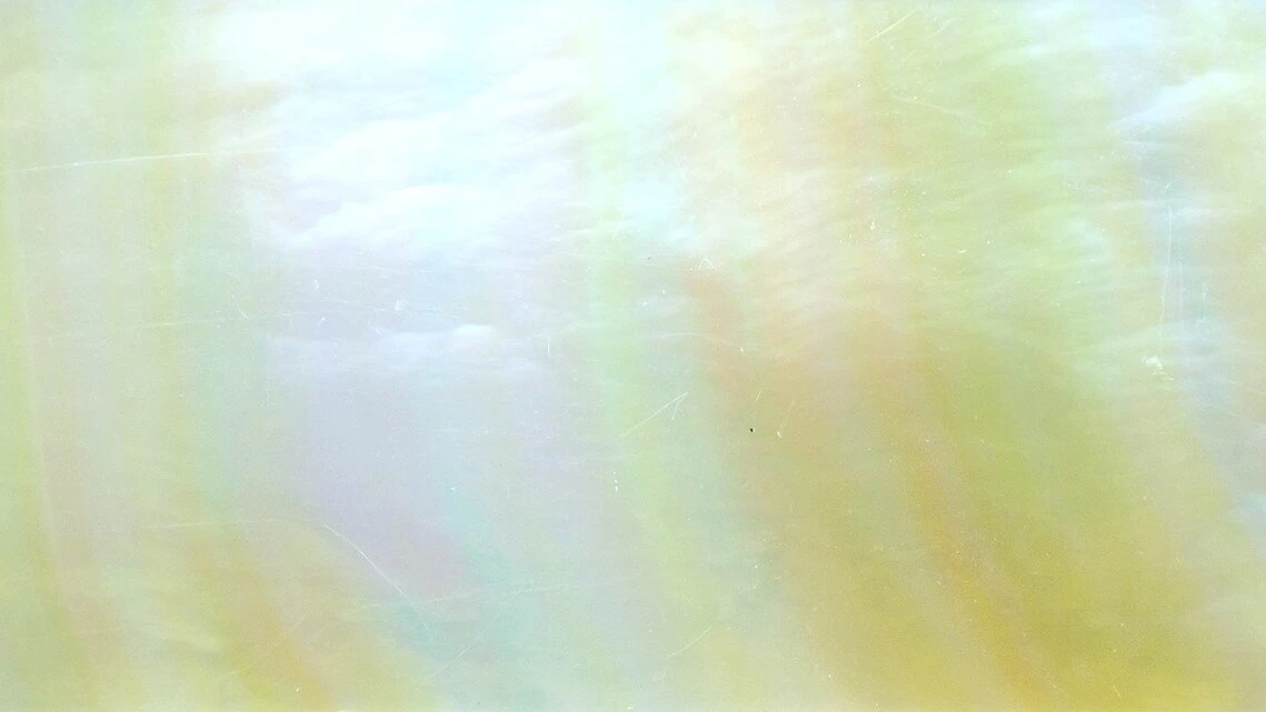 in009