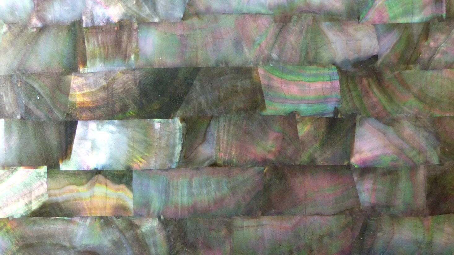 in031