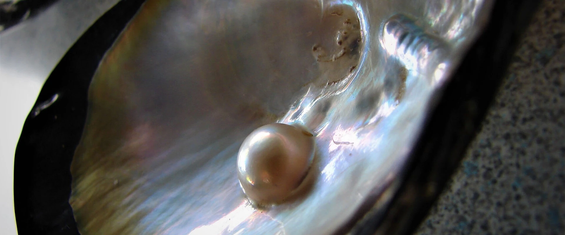 Mother of pearl inlay