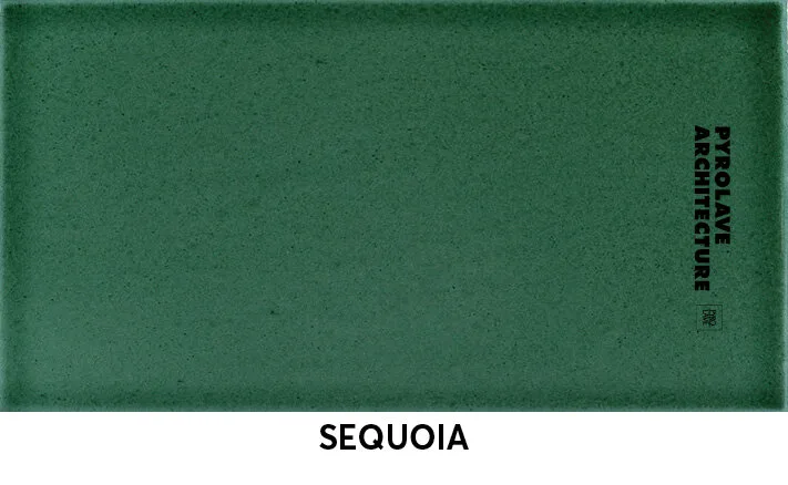 Sequoia