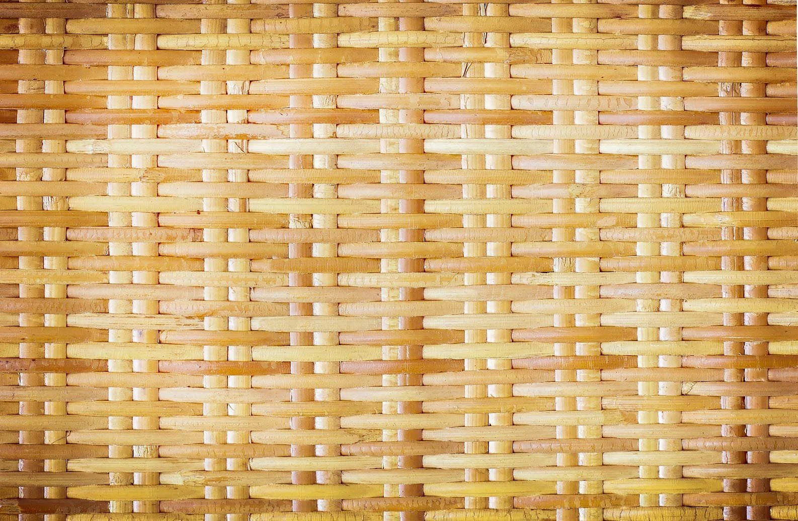 rattan 14