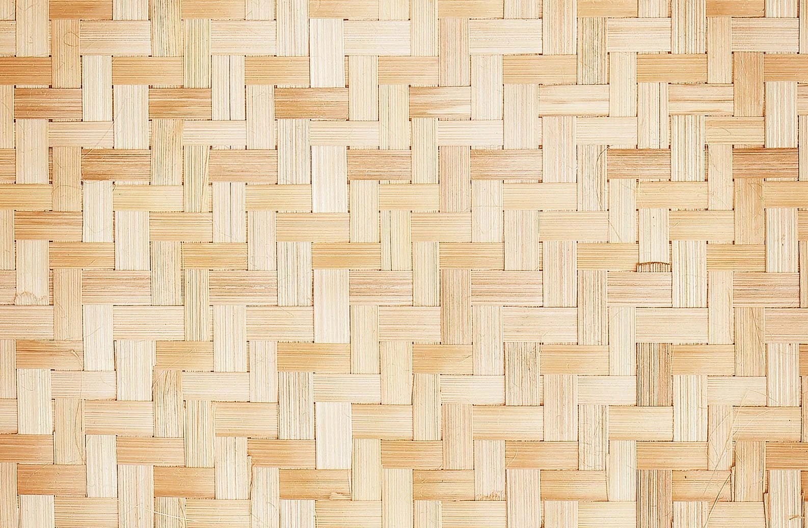 rattan 15