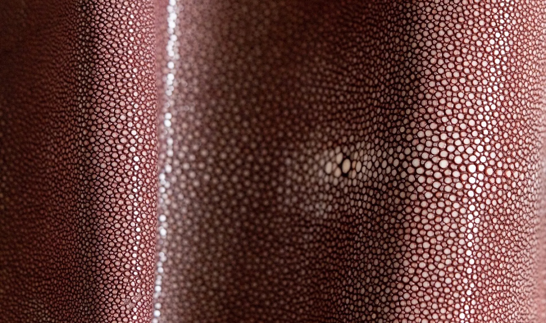 Berry