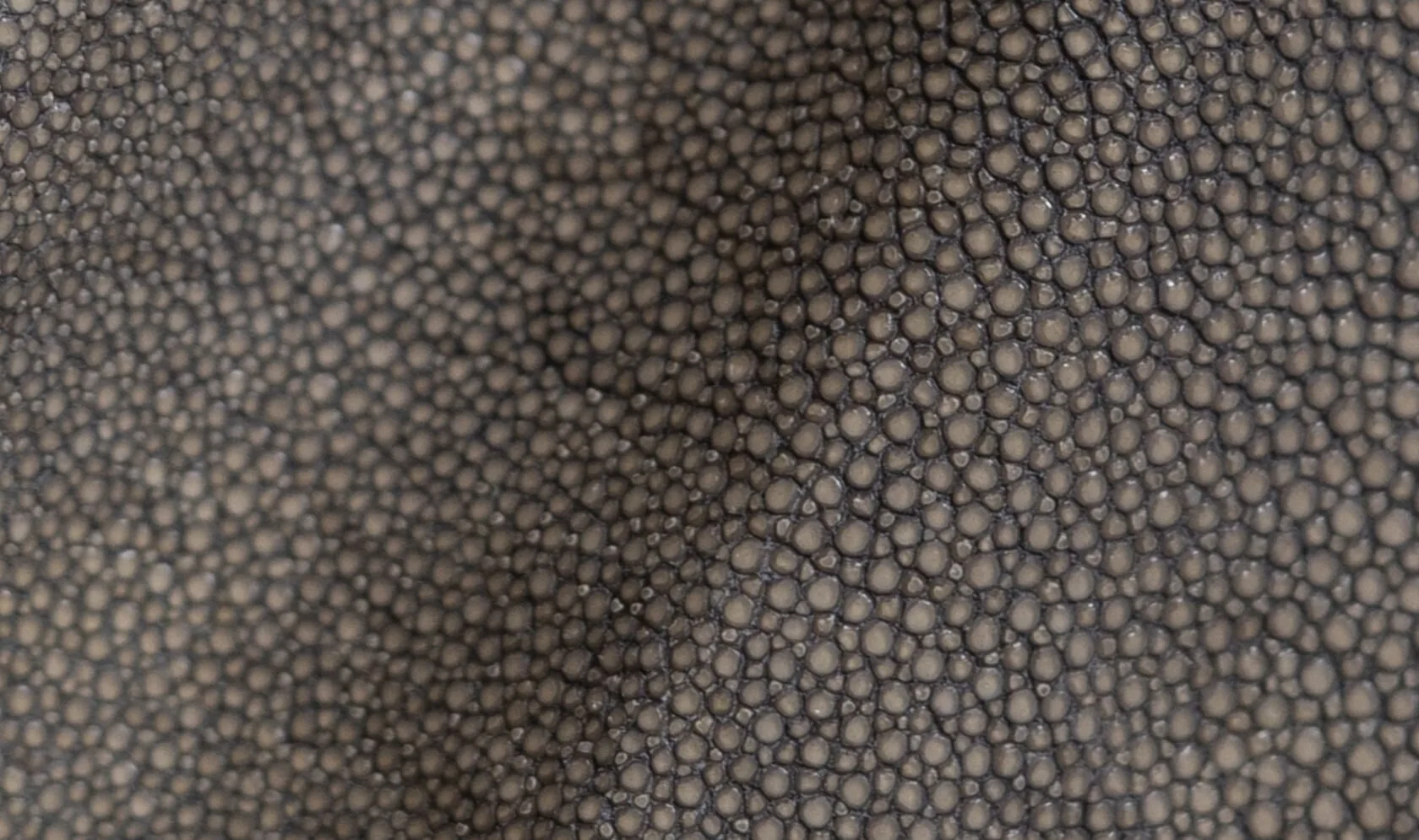 Stone