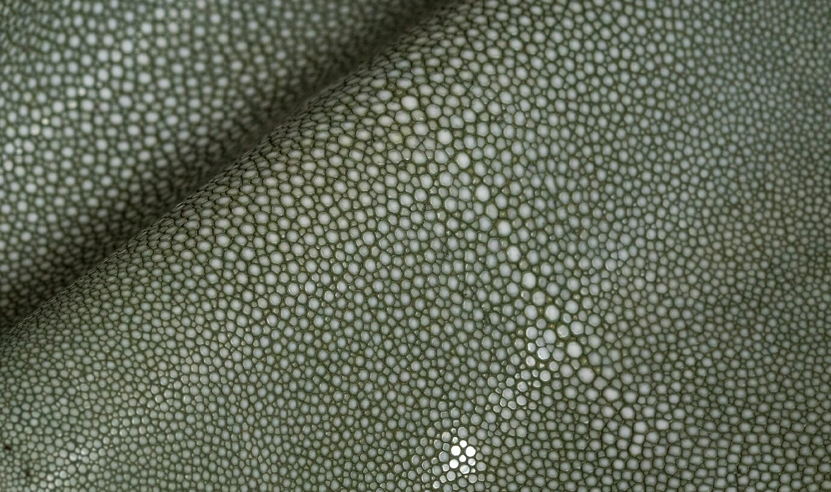 Alma Leather Shagreen Agate