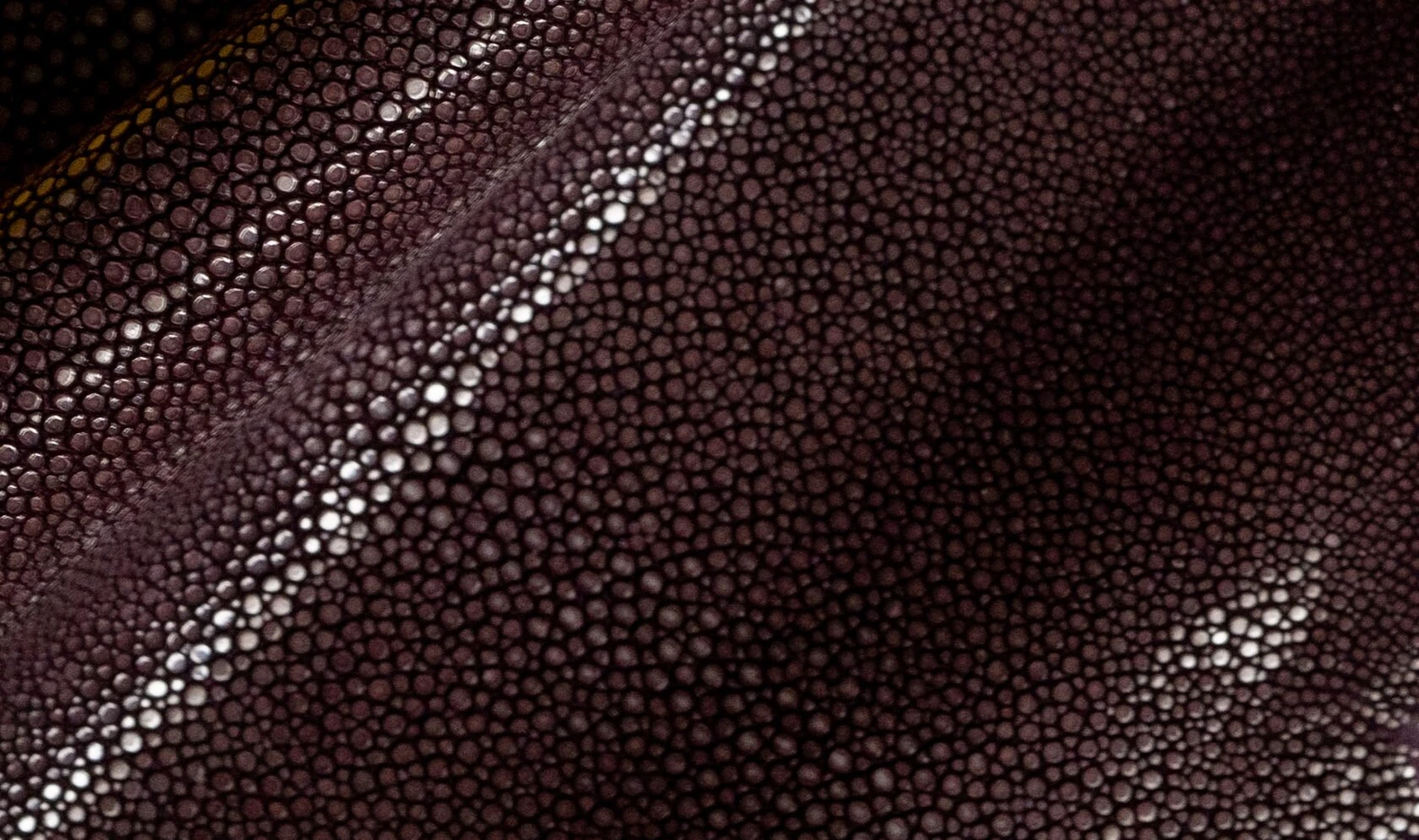 Alma Leather Shagreen Aubergine
