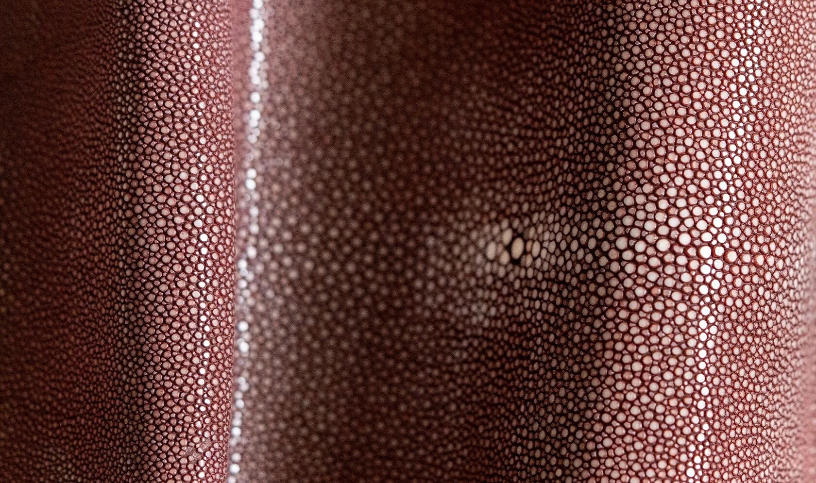 Alma Leather Shagreen Berry