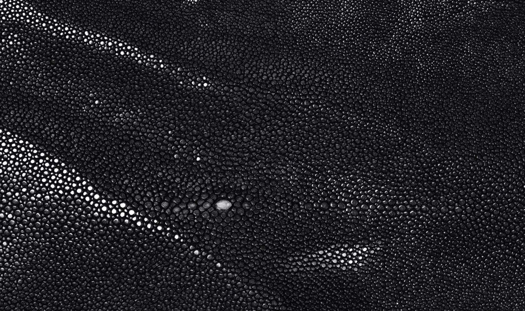 Alma Leather Shagreen Black