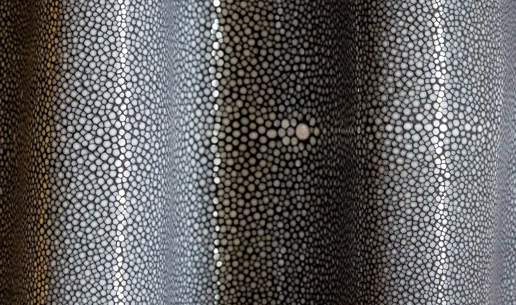 Alma Leather Shagreen Charcoal