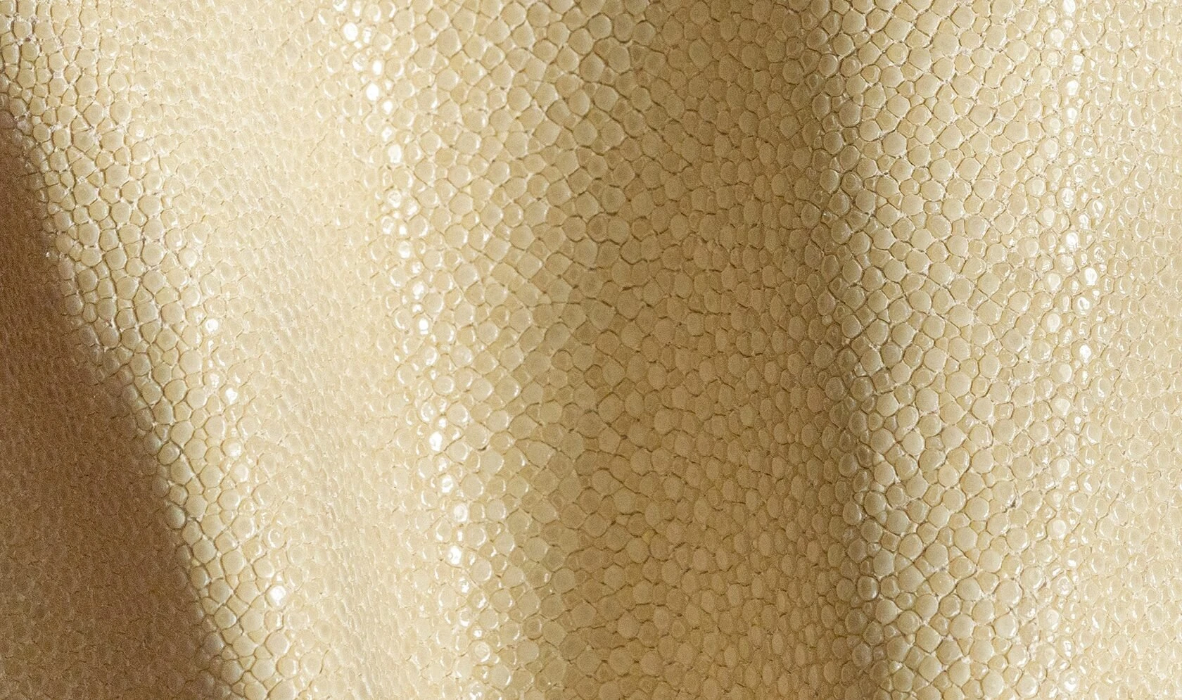 Alma Leather Shagreen Ivory