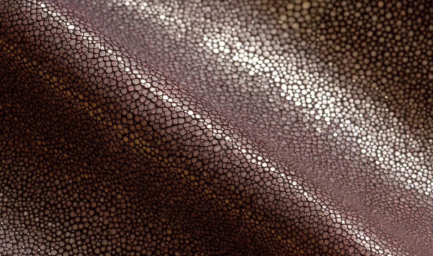 Alma Leather Shagreen Plum