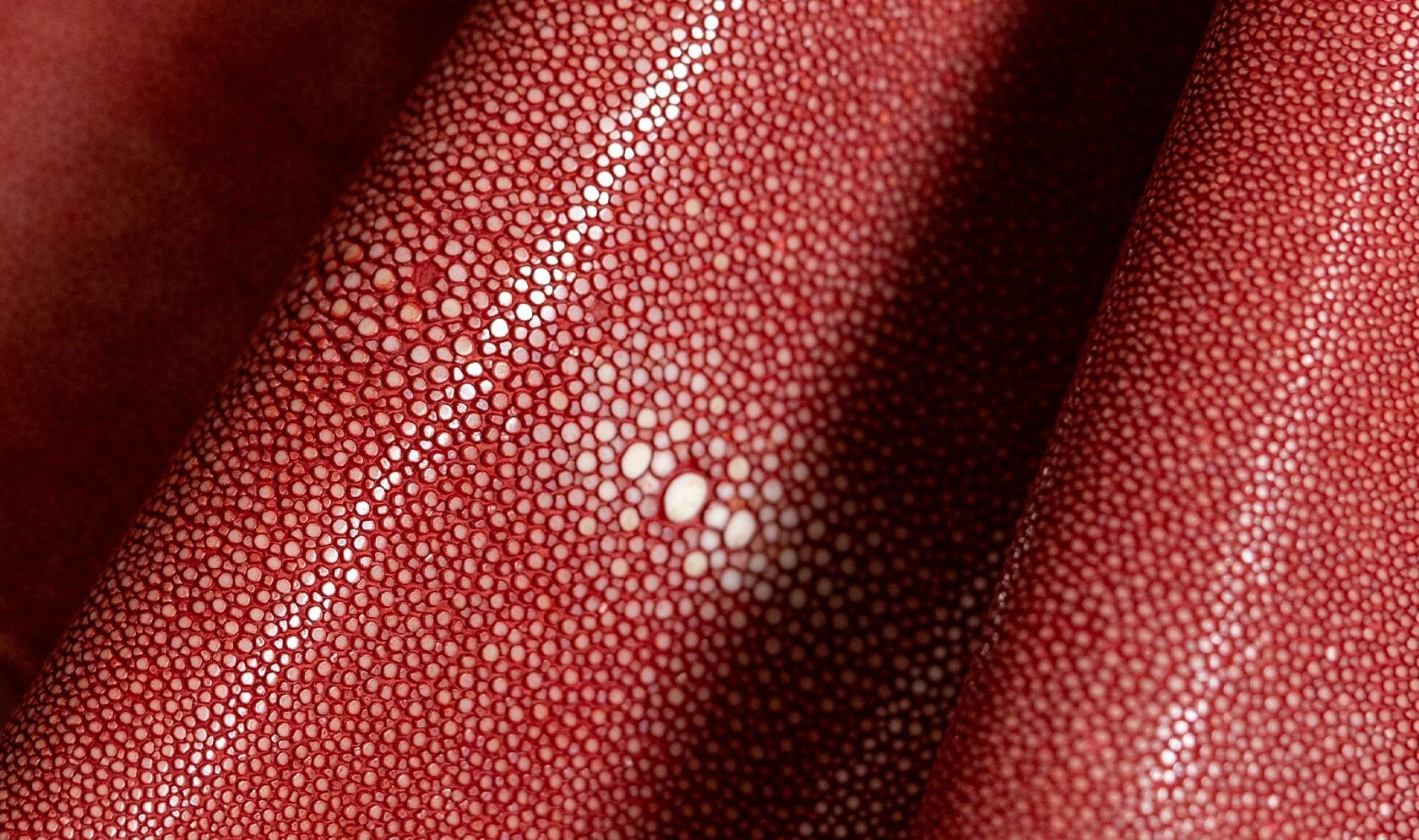 Alma Leather Shagreen Red