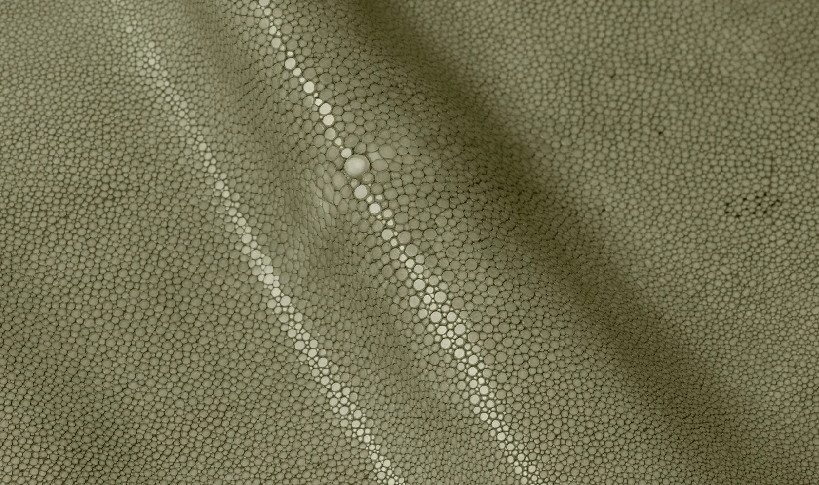Alma Leather Shagreen Sage