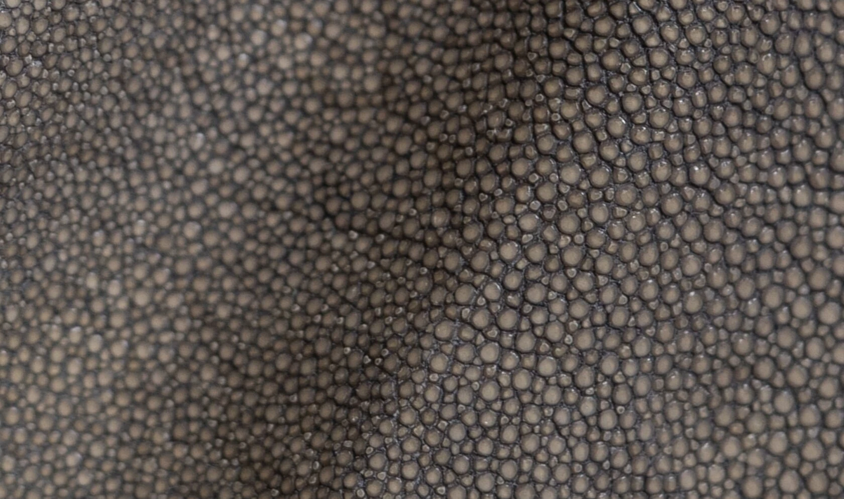 Alma Leather Shagreen Stone