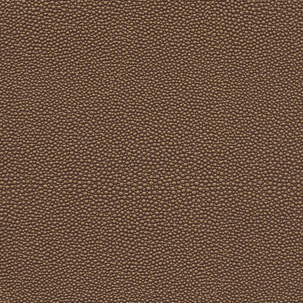 Shagreen Ethiopia