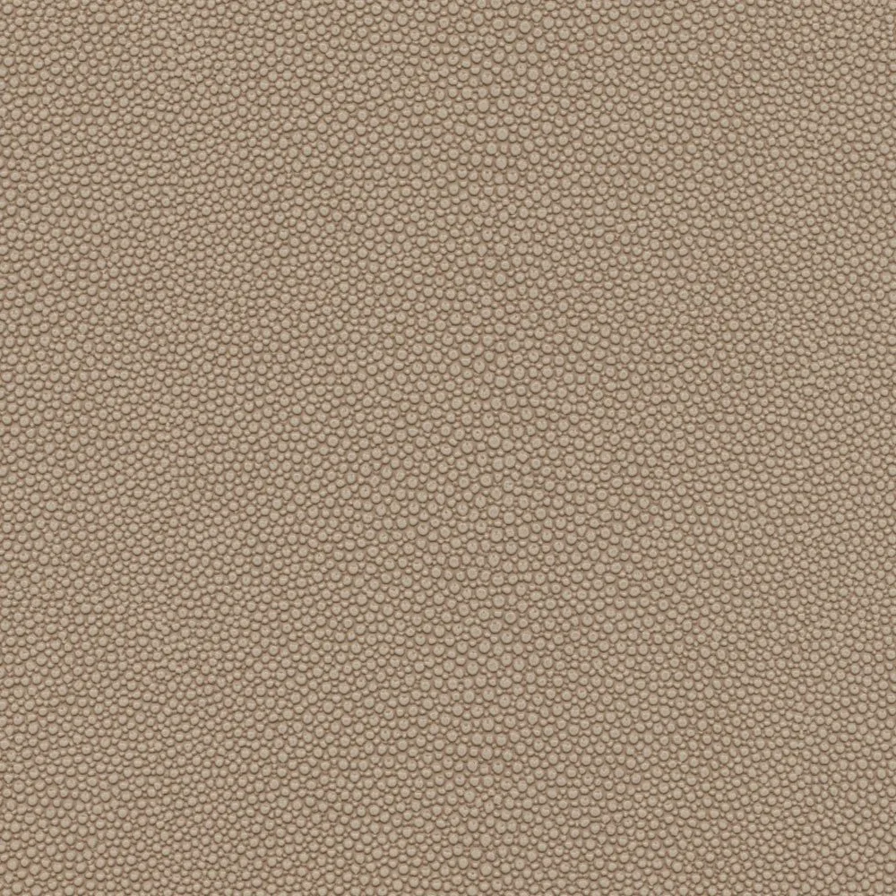 Fawn