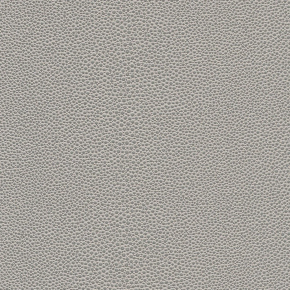 Shagreen Fog
