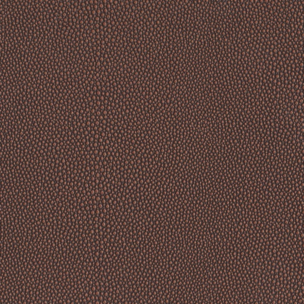 Shagreen Ridge