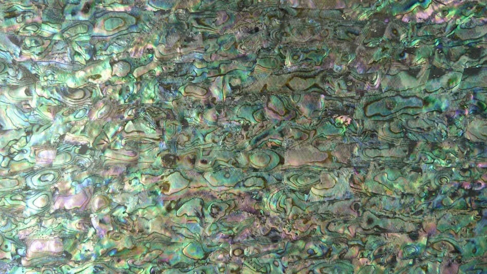 Shell veneer — Make Bespoke Studio
