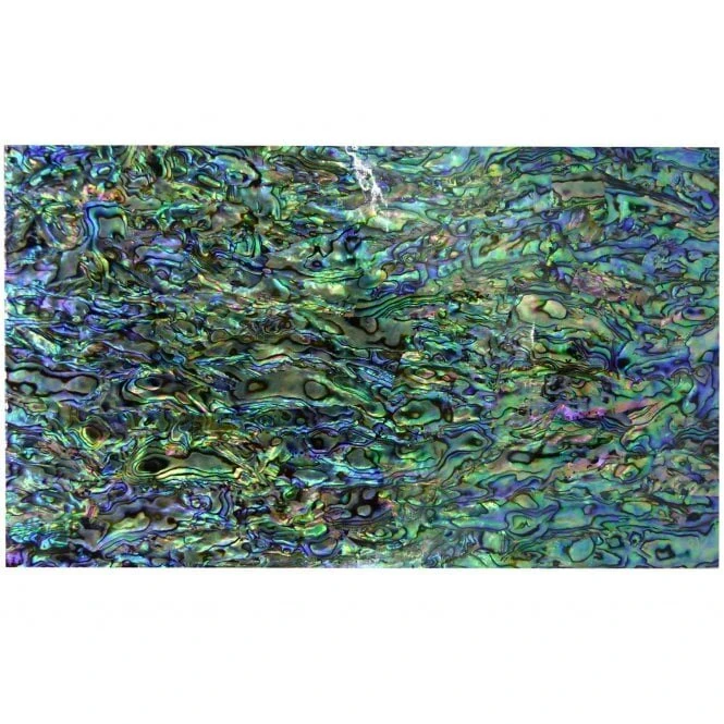 Incudo Green Abalone Varnished Laminate Shell Veneer