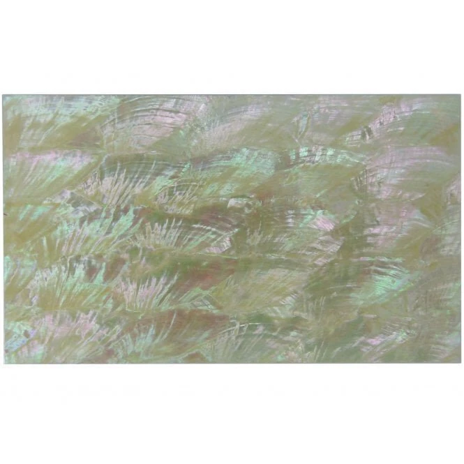 Incudo Korean Large Abalone Laminate Shell Veneer