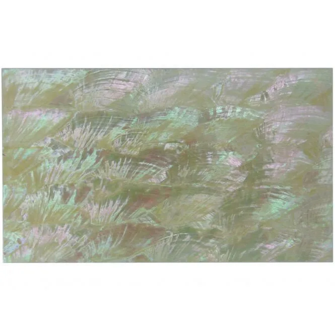 Korean Large Abalone Laminate