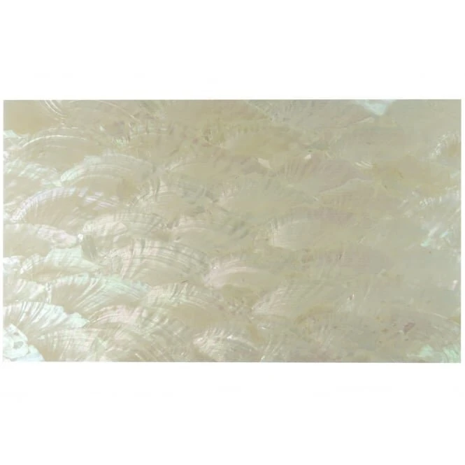 Incudo Laminate Shell Veneer