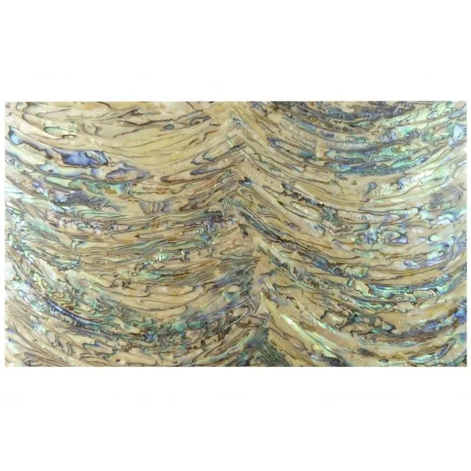 Laminate Shell Veneer