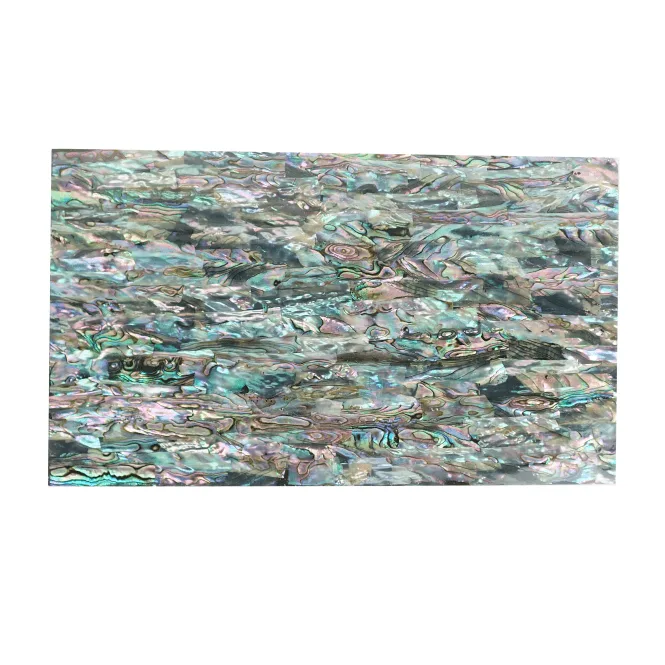 Natural Mexican Abalone