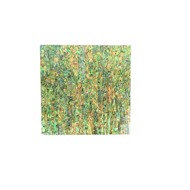 Paua Abalone Varnished Laminate