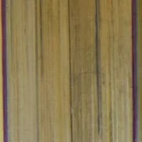 75