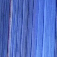 8010