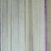 81