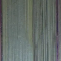87