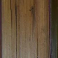 M1