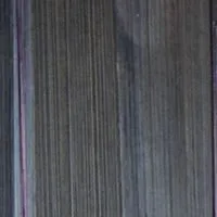 M5